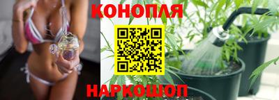 PSILOCYBIN Ирбит
