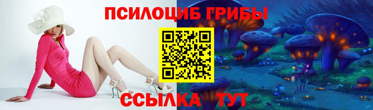 Фрязино  Галлюциногенные грибы MAGIC MUSHROOMS  Вход с VPN 