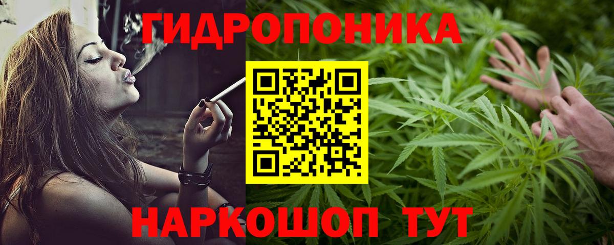 Шишки марихуана план  Марихуана White Widow  Вход с VPN  Фрязино 